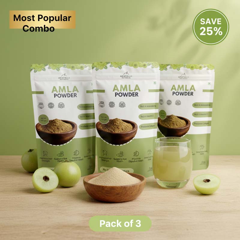 Amla Powder | Natural Vitamin C Superfood for Immunity & Hair Health