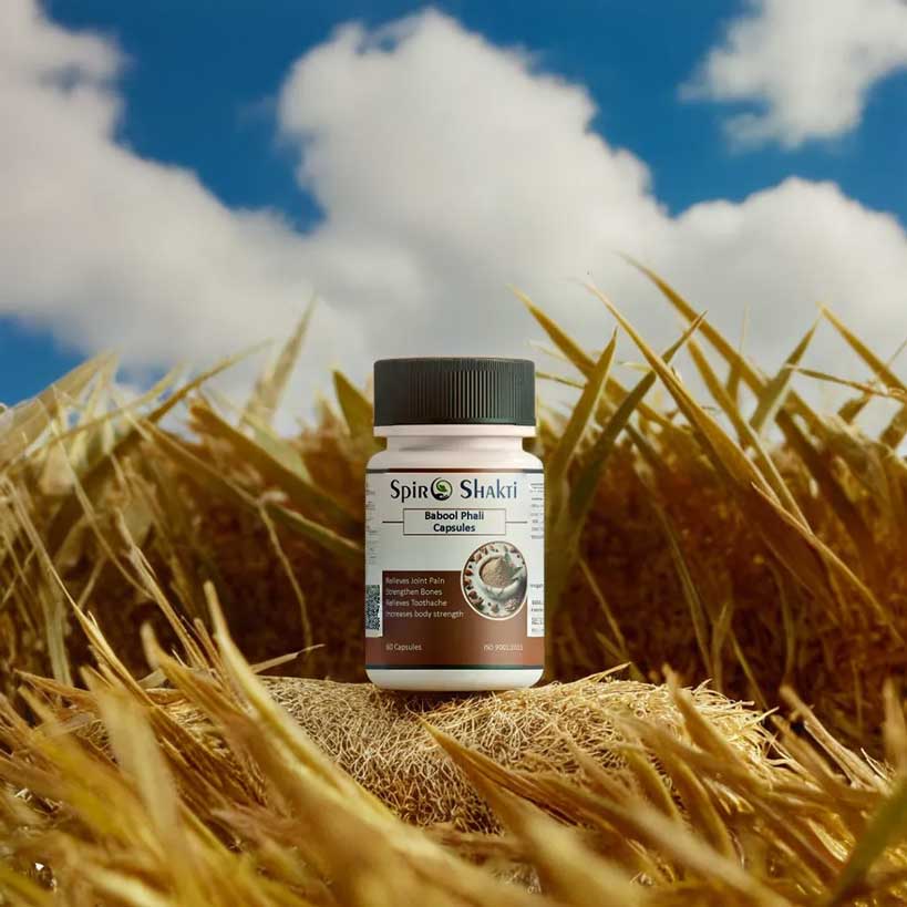 SpiroShakti Babool Phali Capsules - Herbal Support for Bone & Joint Health