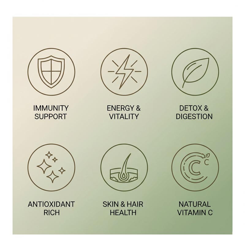 Immunity Booster Combo: Moringa + Amla + Triphala