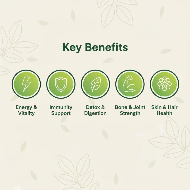 Superfood Duo: Moringa Powder + Moringa Capsules